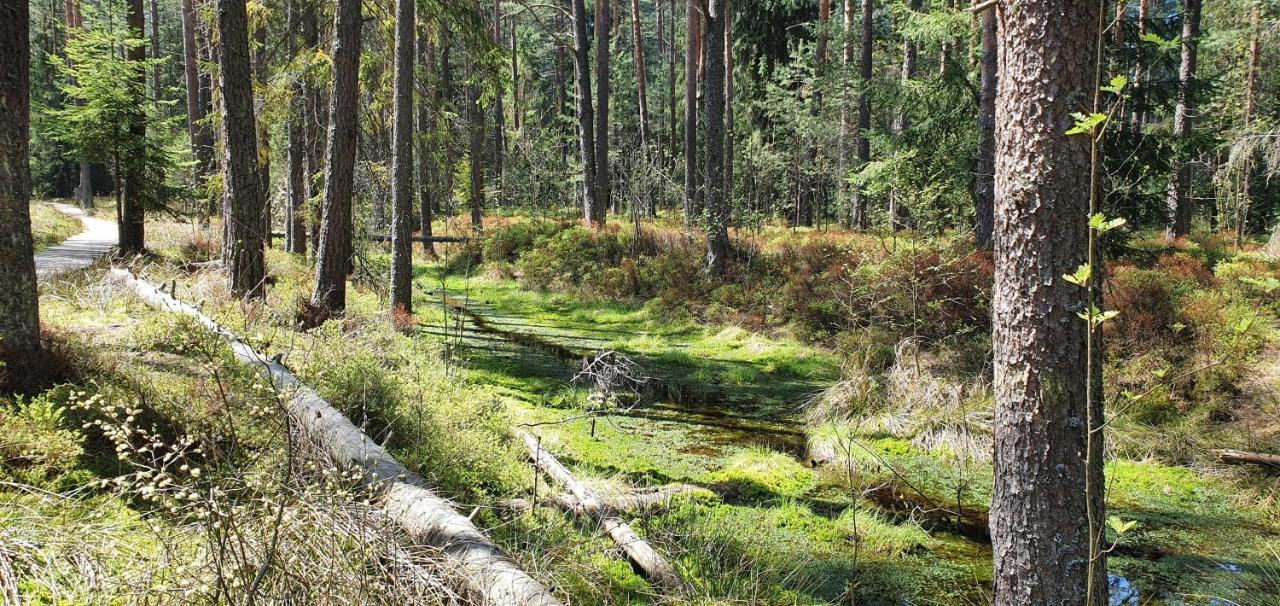 Eco Domek Z Duzym Ogrodem I Widokiem Murzasichle Ngoại thất bức ảnh