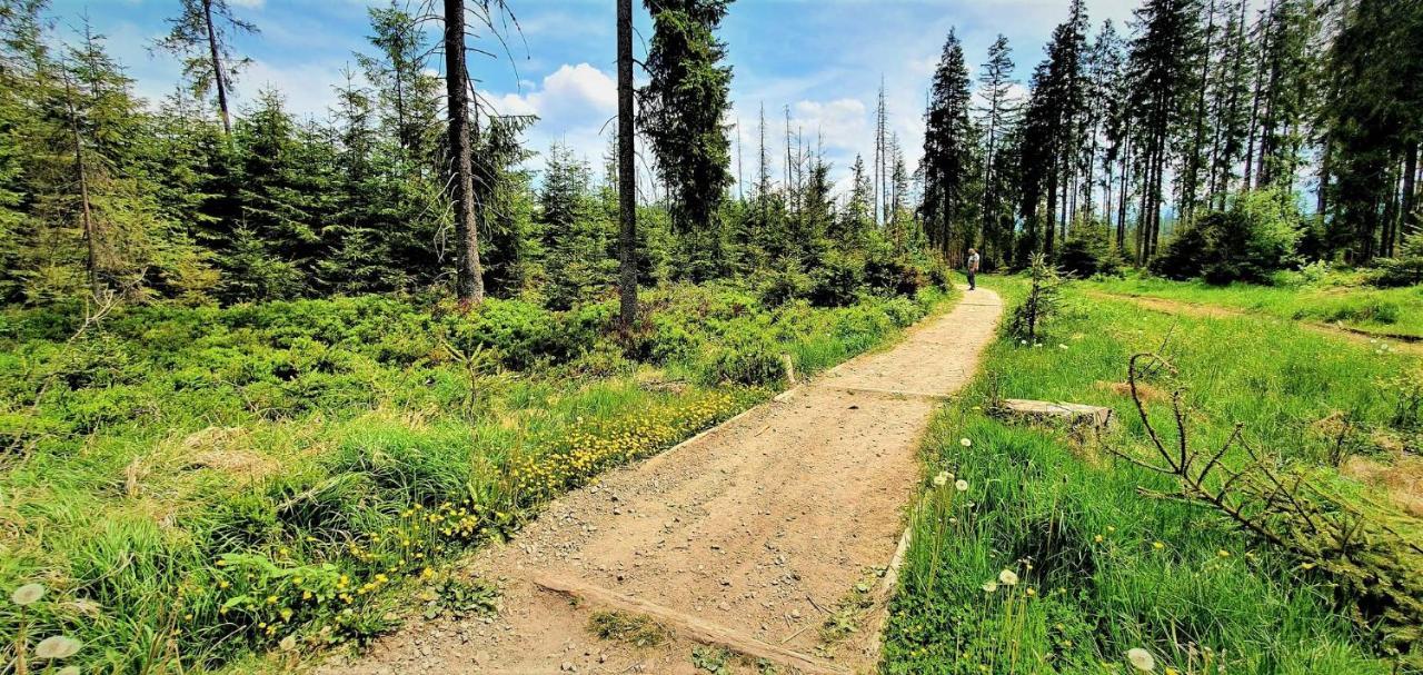 Eco Domek Z Duzym Ogrodem I Widokiem Murzasichle Ngoại thất bức ảnh